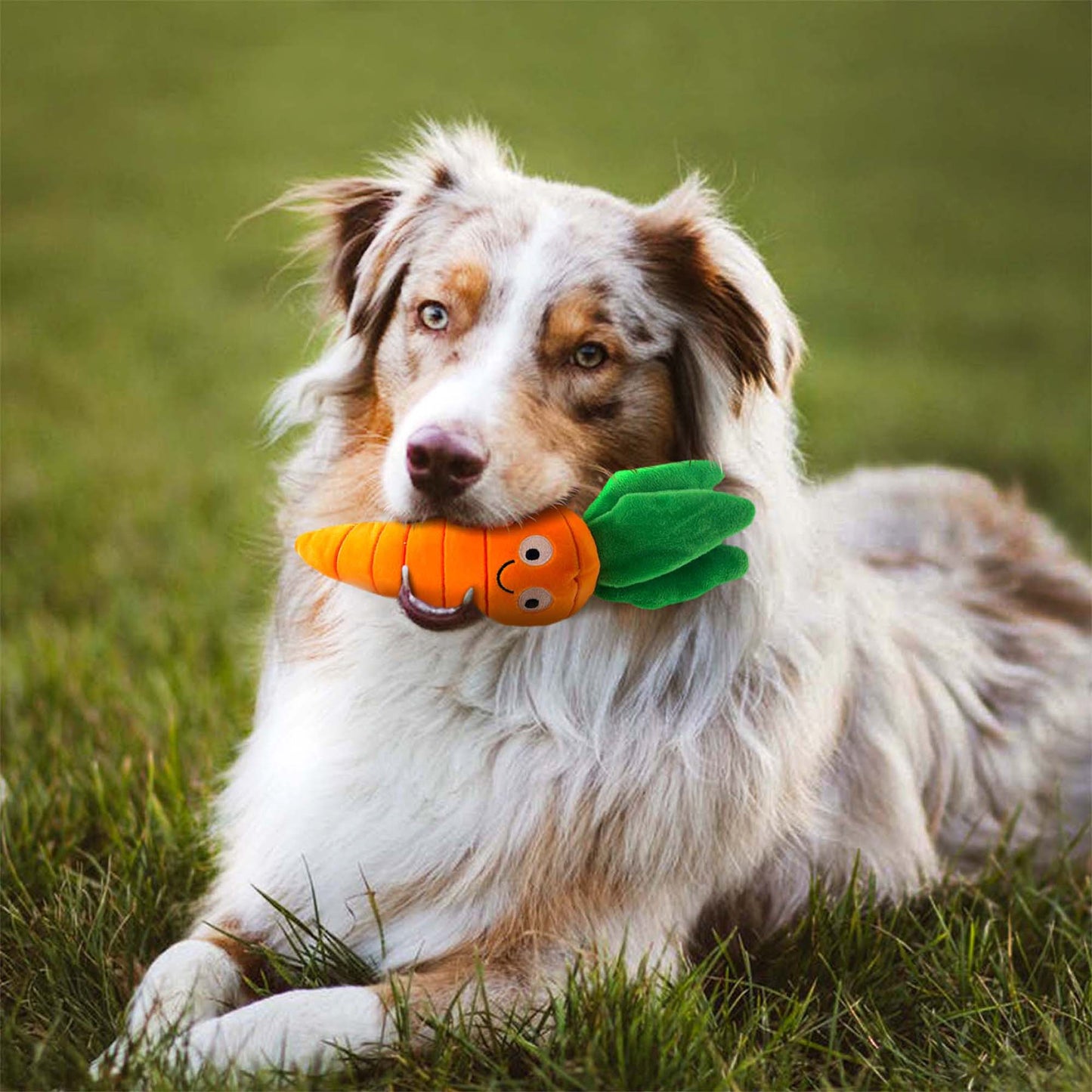 VEGGIE PLUSH CARROT