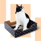 CAT SCRATCHER BOX WITH CATNIP