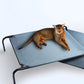 ELEVATED PET BED RAISED DOG CAT COT INDOOR & OUTDOOR COOLING MESH COT