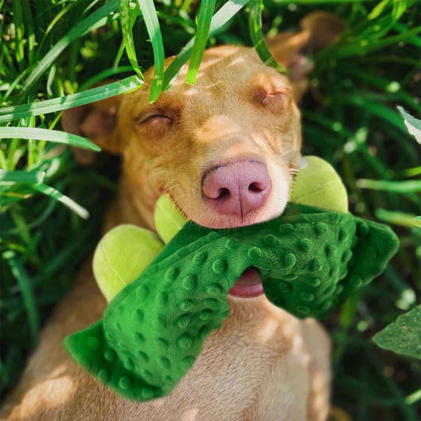 VEGGIE PLUSH PEAS