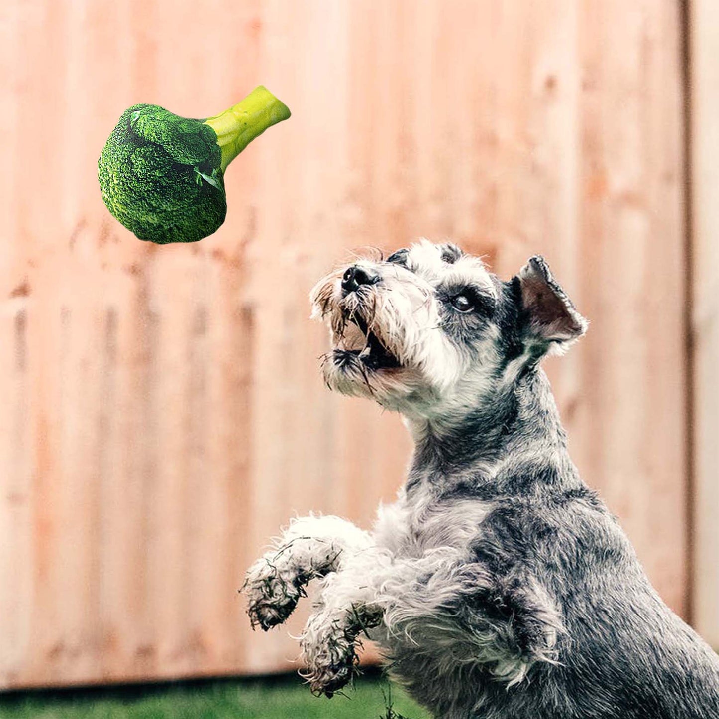 4 PACK DOG SQUEAKY TOYS REALISTIC VEGETABLE SHAPE - CORN/BROCCOLI/CABBAGE/CUCUMBER