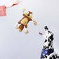 SQUEAKY DOG TOYS ROPE LEG ANIMAL SERIES 3 DESIGNS