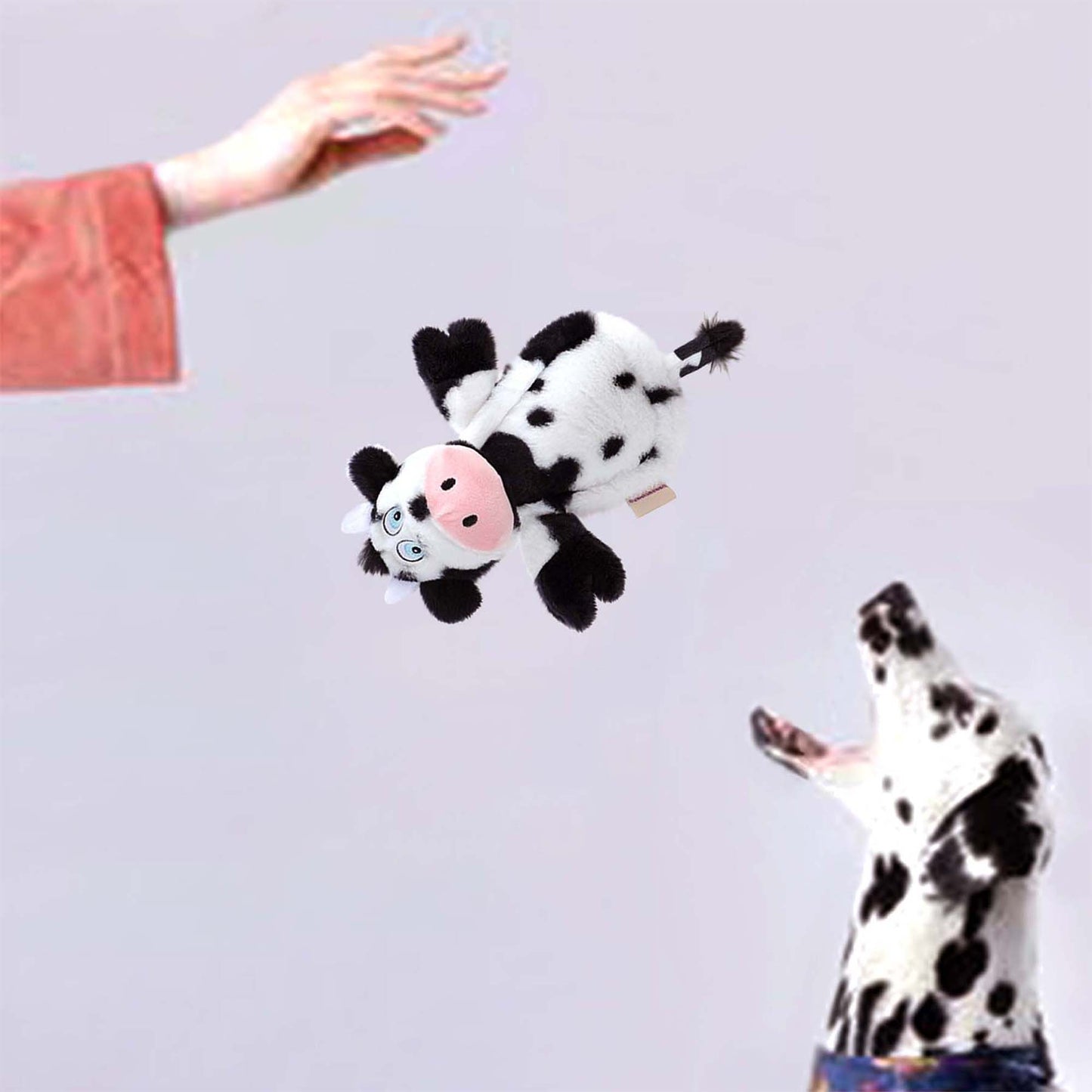 DOGGY EARS ULTRASONIC PLUSH COW