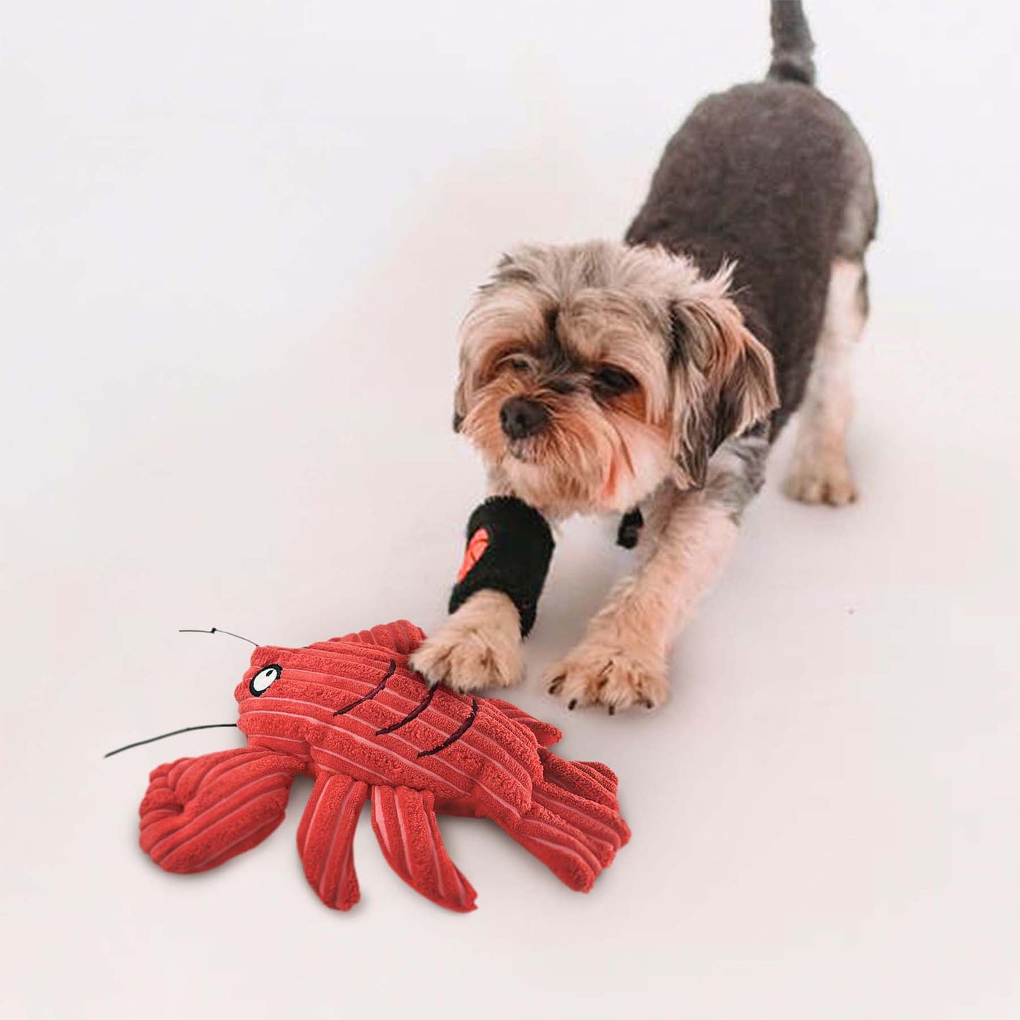 SQUEAKY PLUSH DOG TOY-SEA LIFE SERIES LOBSTER