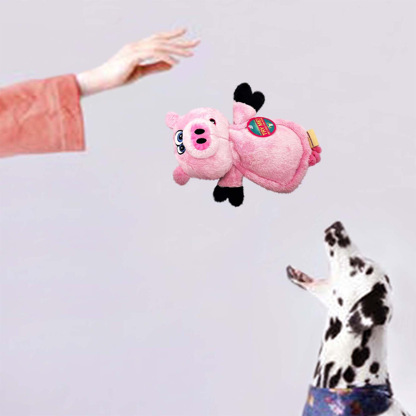 DOGGY EARS ULTRASONIC PLUSH PIG