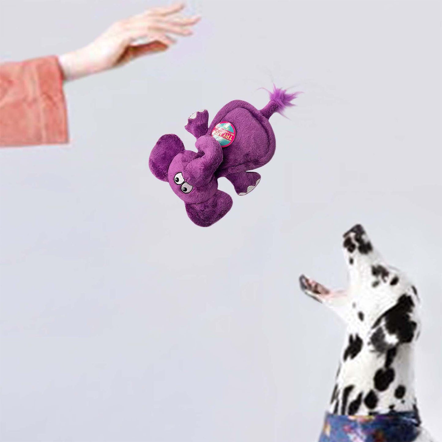 DOGGY EARS ULTRASONIC PLUSH ELEPHANT