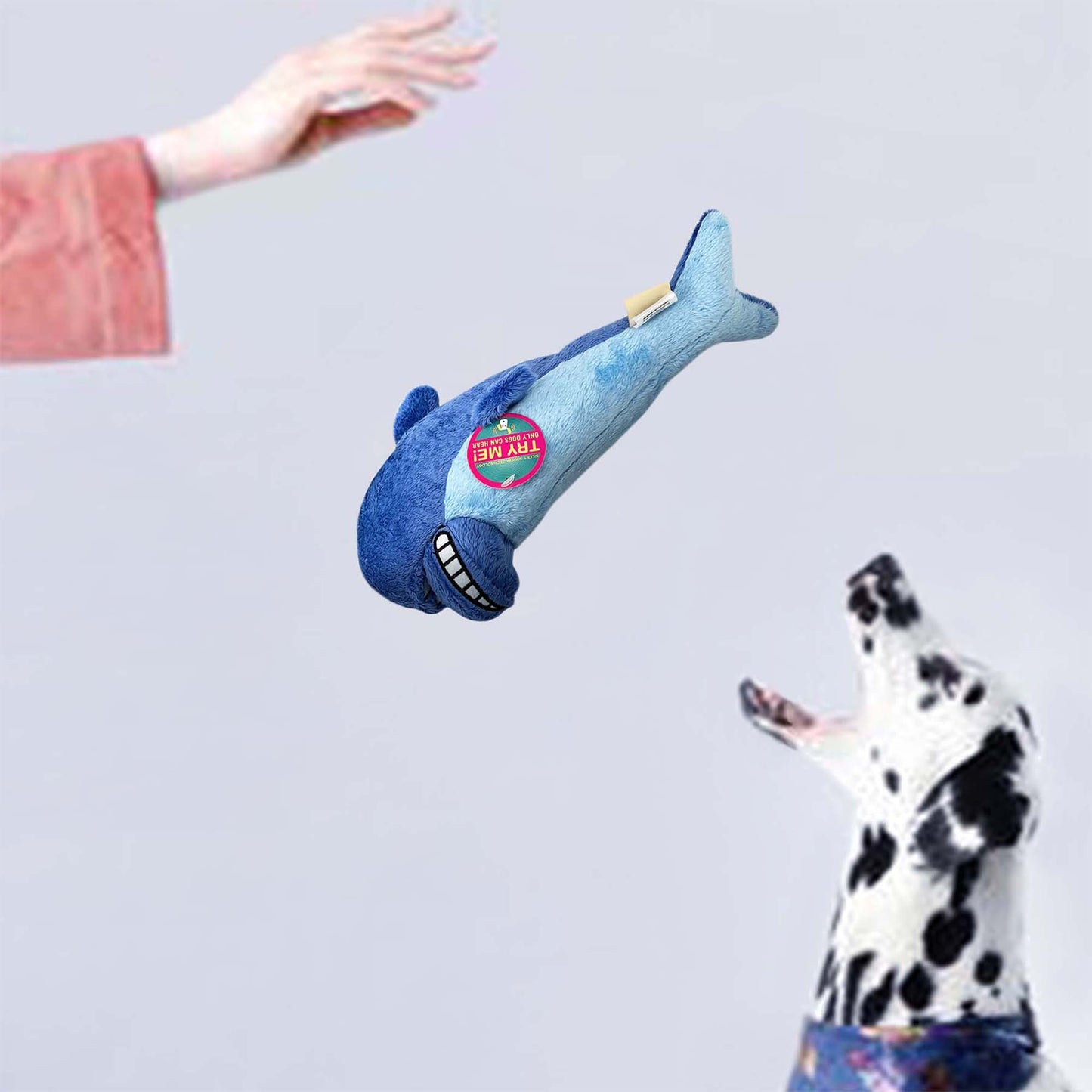 DOGGY EARS ULTRASONIC PLUSH WHALE