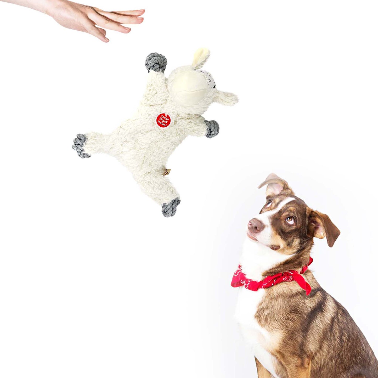 ANIMAL KINGDOM PLUSH ROPE SHEEP