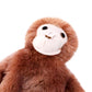 ORANGUTAN PLUSH PET TOY 2 COLOURS